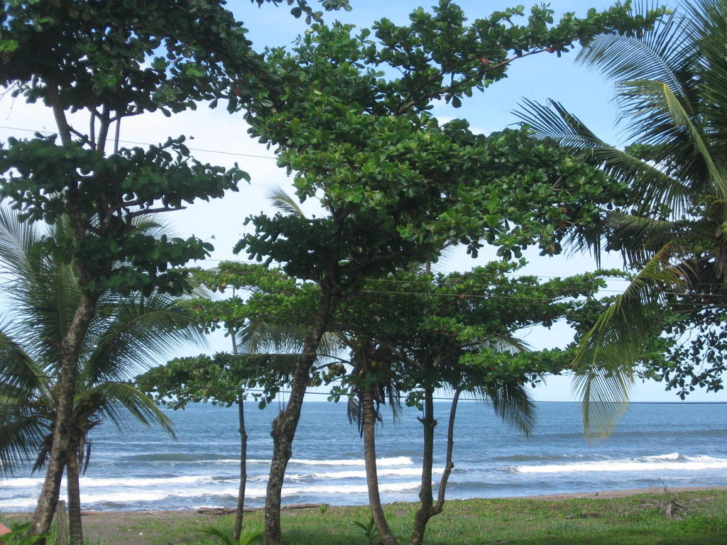 Cabinas Miss Miriam 2 Tortuguero Buitenkant foto