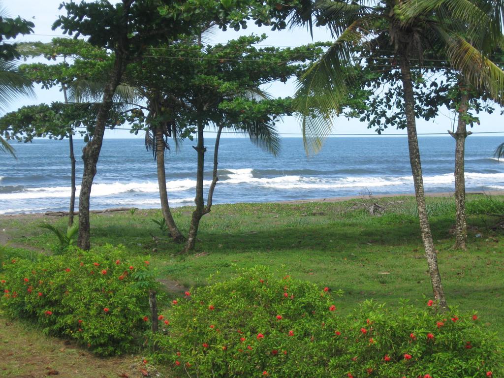 Cabinas Miss Miriam 2 Tortuguero Buitenkant foto