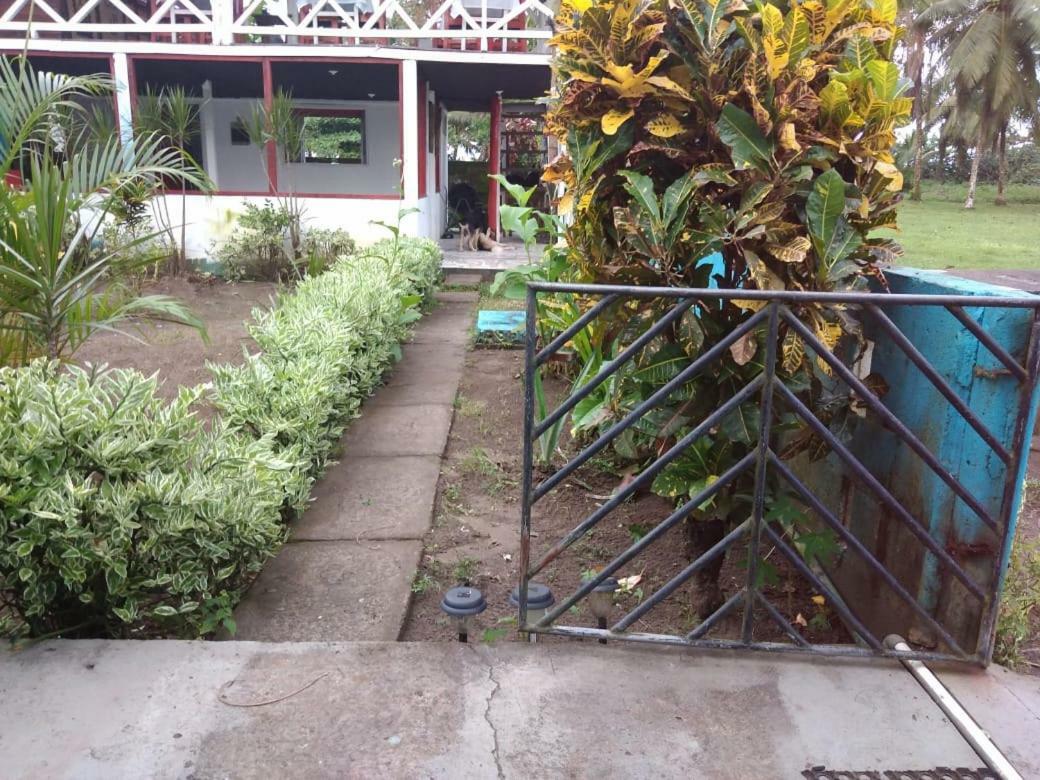 Cabinas Miss Miriam 2 Tortuguero Buitenkant foto